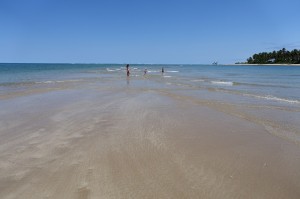 DSC09695 